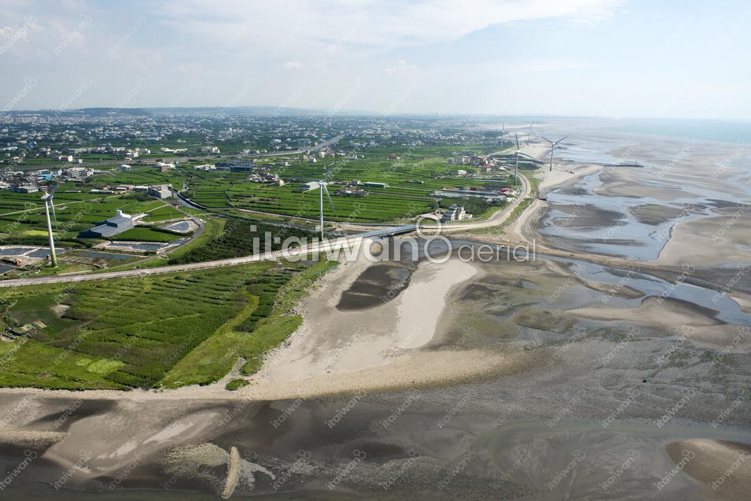 大安溪出海口、大安濕地