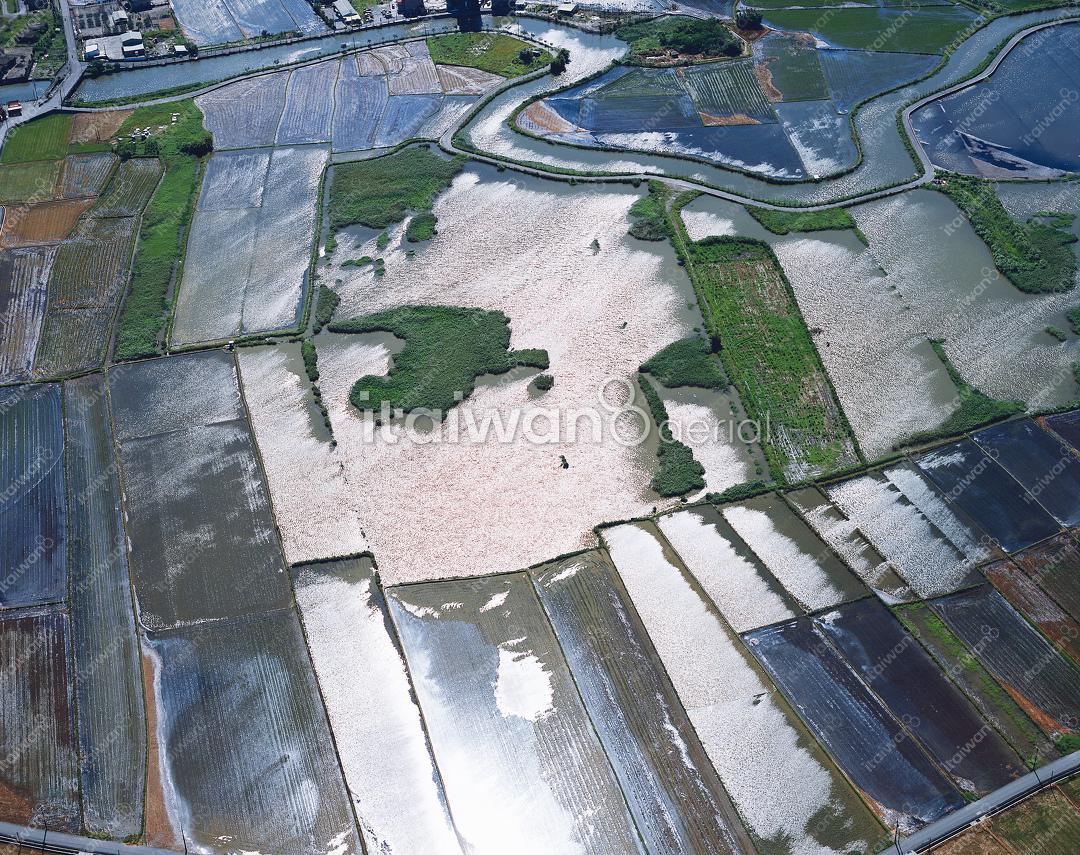 五十二甲濕地