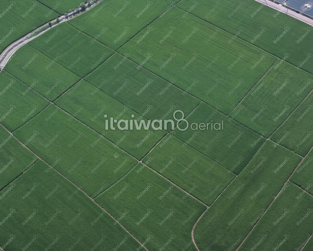 彰化市農地