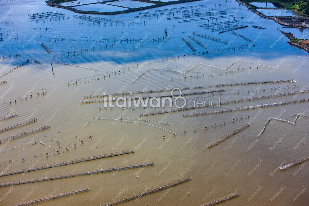 興達港蚵棚