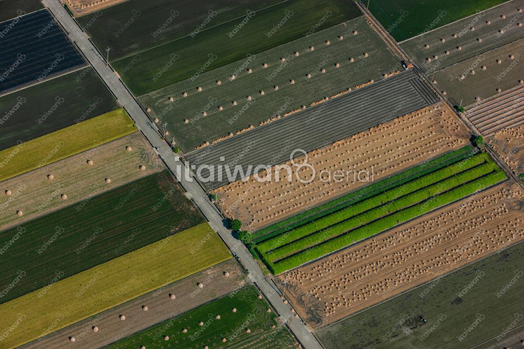 雲林虎尾稻田、稻草堆