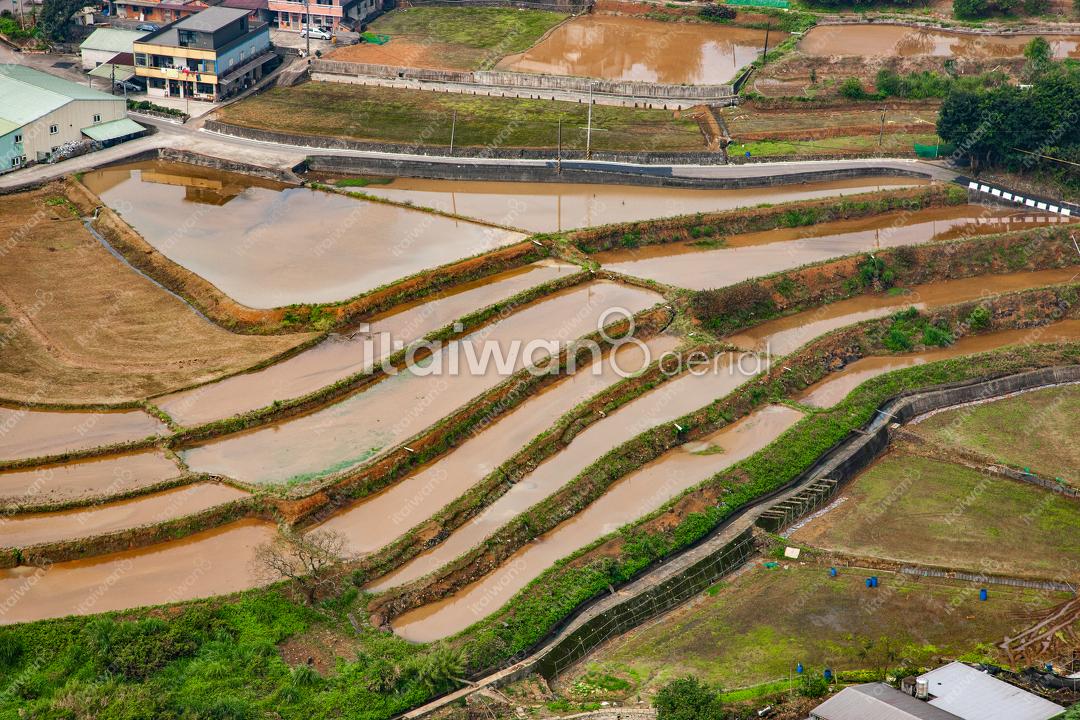 淡水埤島里梯田