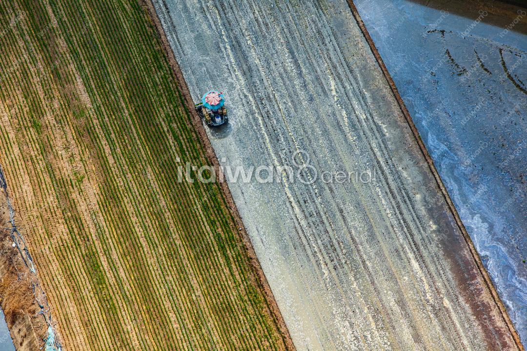 六甲稻田插秧機